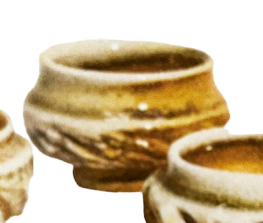 Saki cup