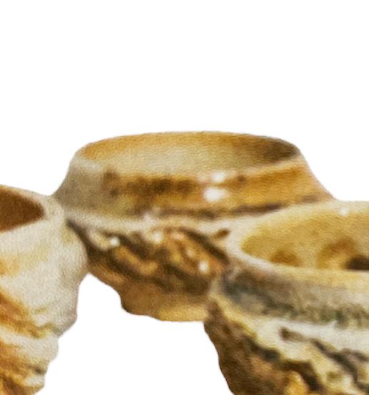 Saki cup